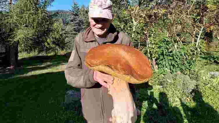 Охоронець нацпарку в Карпатах знайшов 3-кілограмовий білий гриб