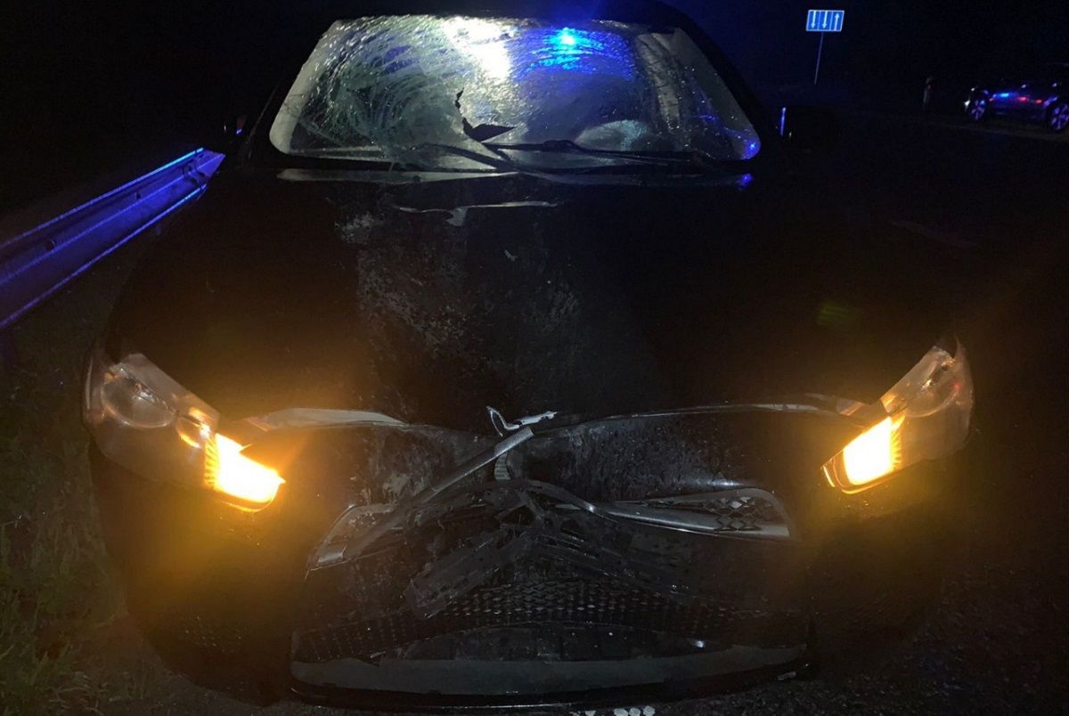 На об’їзній Львова автомобіль збив на смерть 24-річну жінку