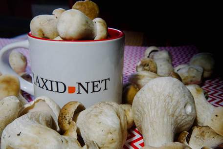 Смажені білі гриби у вершковому соусі. Рецепт дня