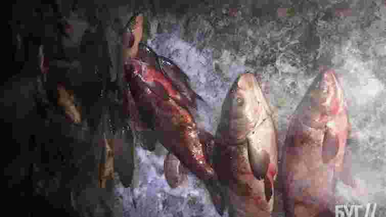 Волинський браконьєр заплатить 99,8 тис. грн за виловлені сітками 40 рибин