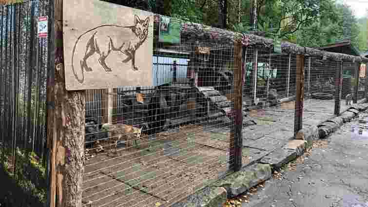 Домівка врятованих тварин запрошує небайдужих львів'ян на толоку 