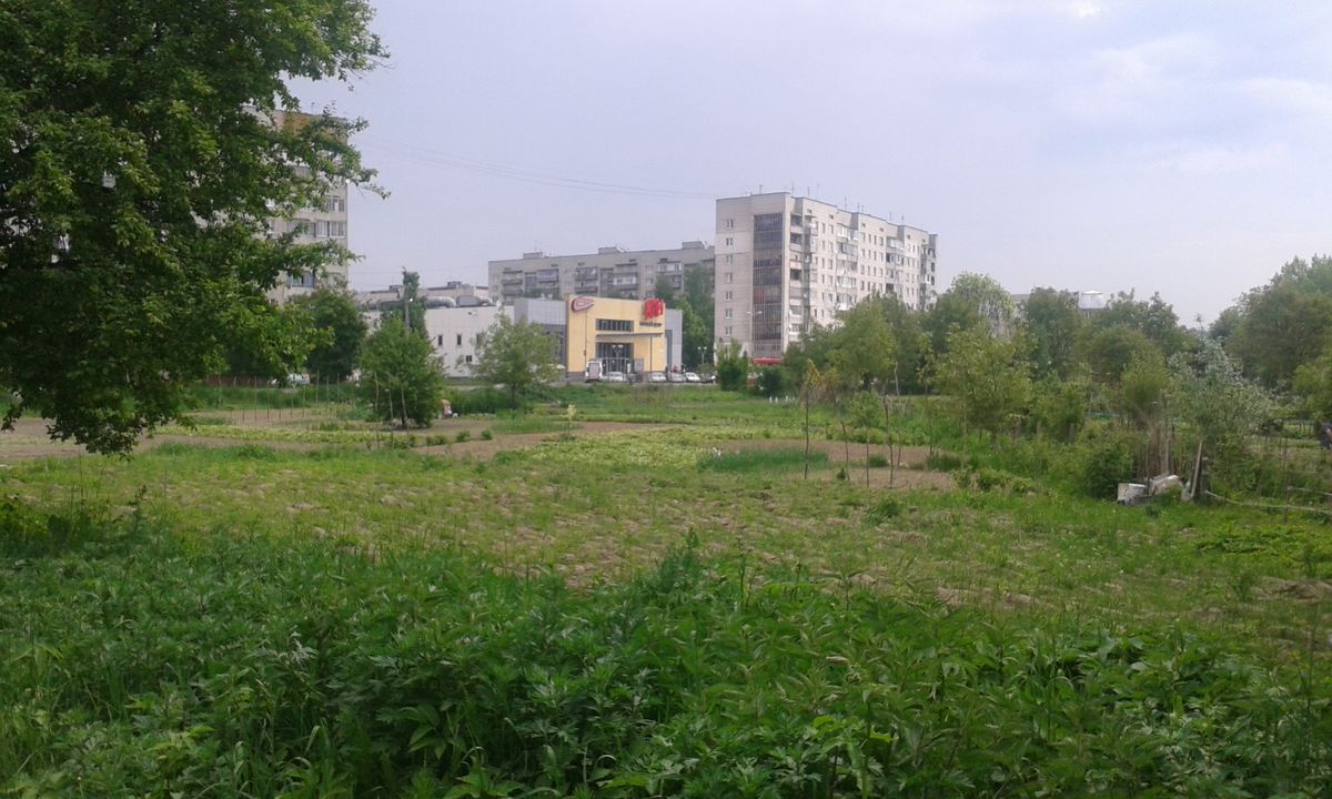 Земельну ділянку на околиці Львова продали за 19,1 млн грн
