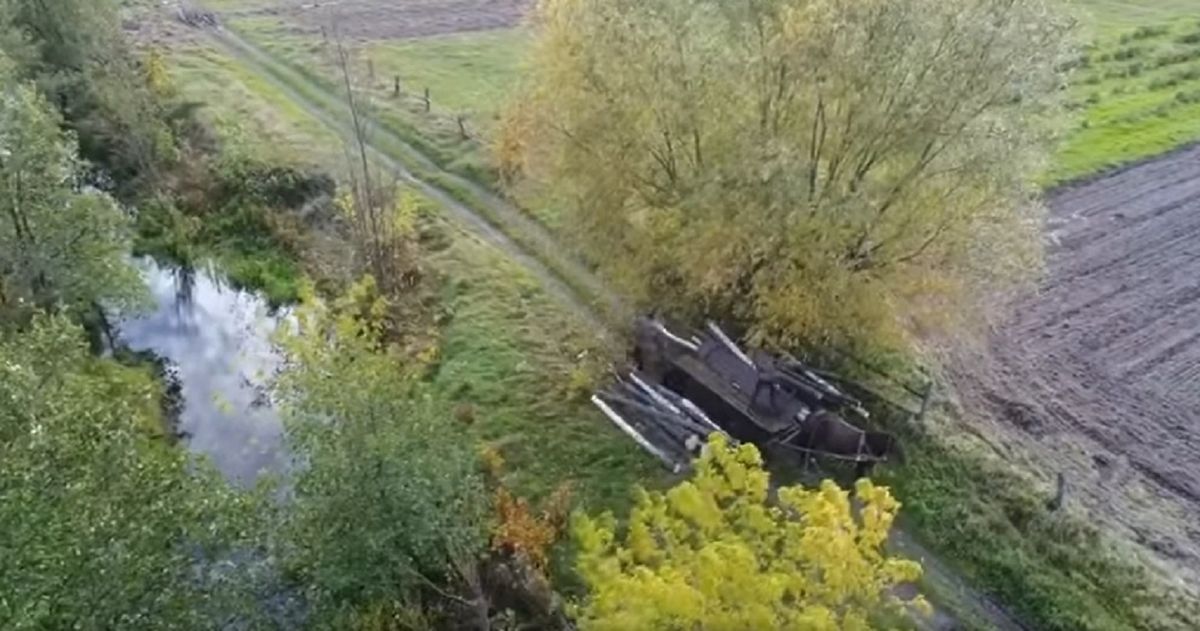 Волинські лісівники зняли на дрон незаконну вирубку лісів