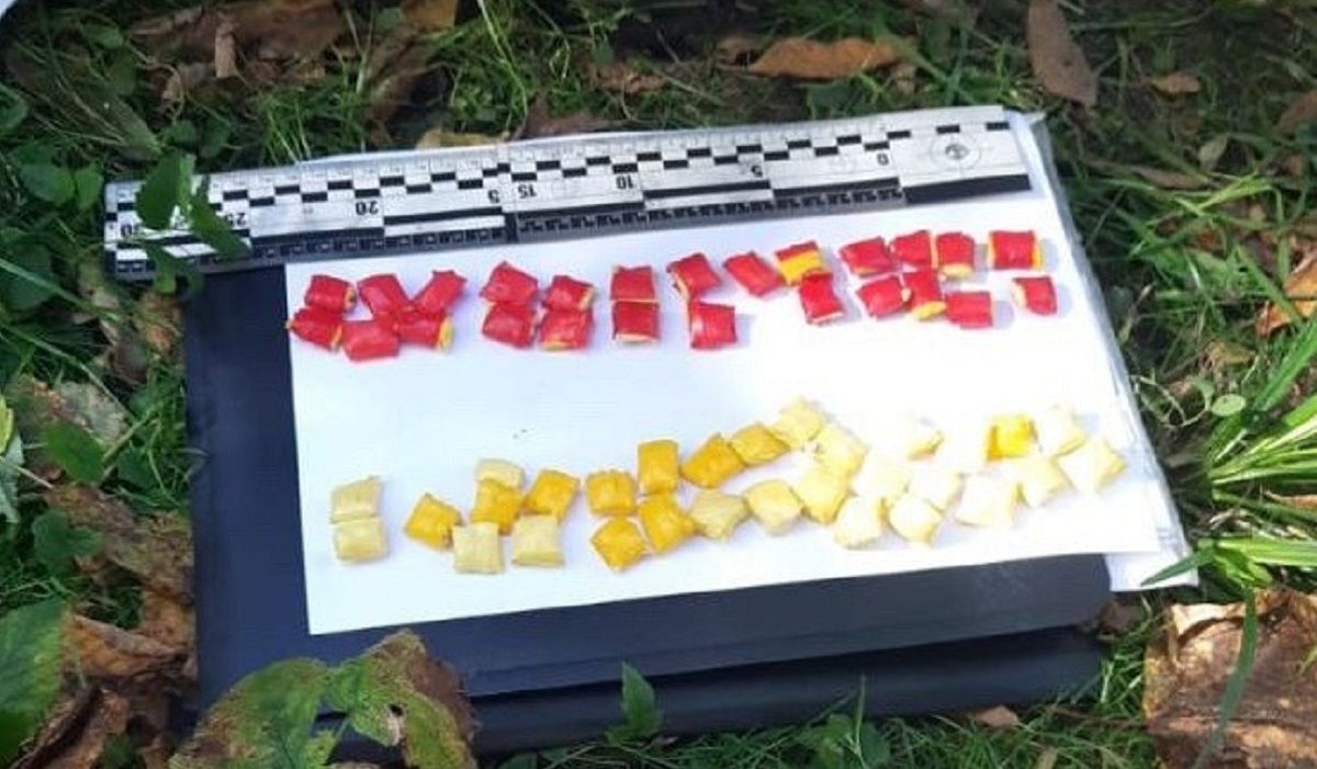 Стрийські поліцейські затримали у парку 39-річного наркоторговця