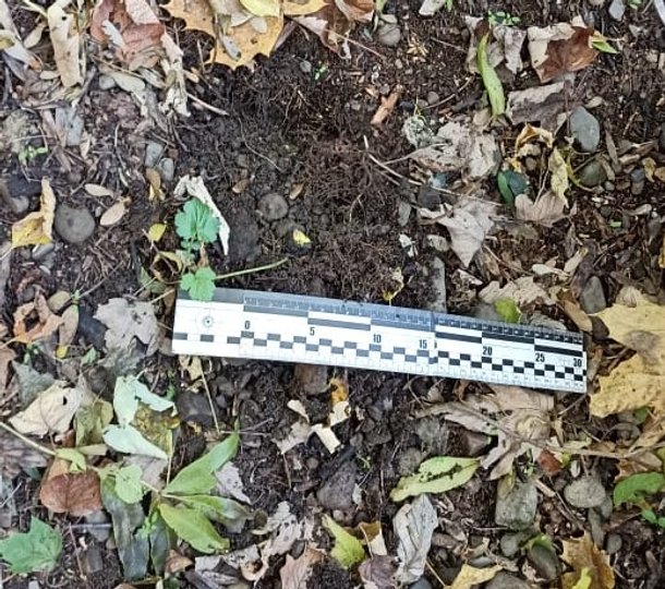 За збут наркотиків загрожує до десяти років позбавлення волі (фото поліції)