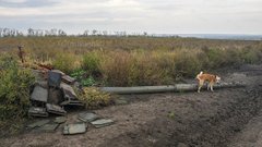 Підсумки 226 дня війни