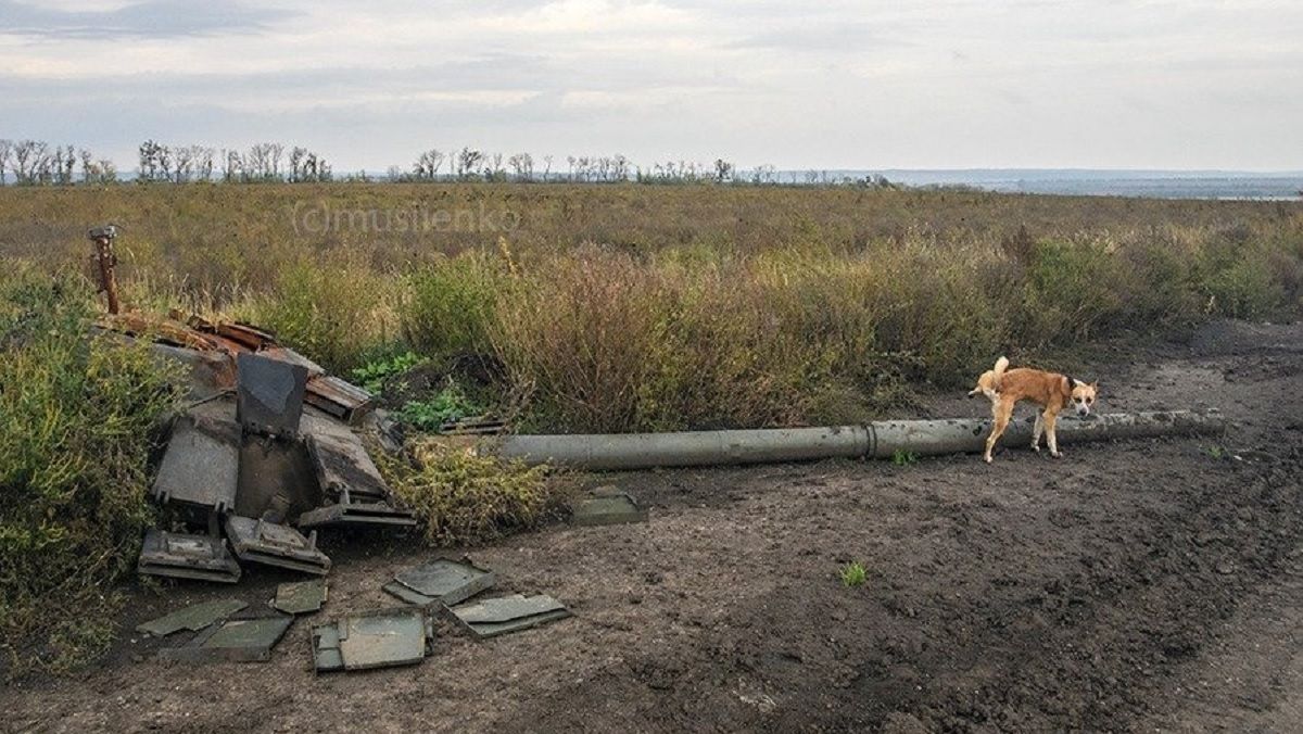 Підсумки 226 дня війни