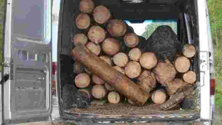 На Тернопільщині поліція затримала п'яного водія зі зрубаними в заповіднику деревами
