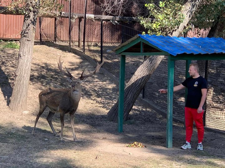 Крокодила евакуювати легше, ніж поні. Історії рятунку тварин львівськими волонтерами 14