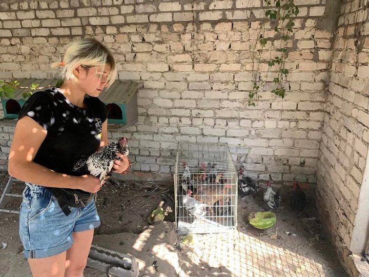 Крокодила евакуювати легше, ніж поні. Історії рятунку тварин львівськими волонтерами 12