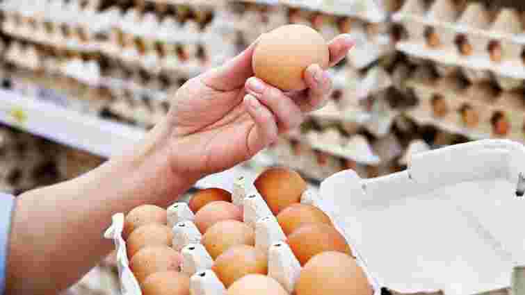 Антимонопольний комітет розпочав перевірку зростання цін на яйця
