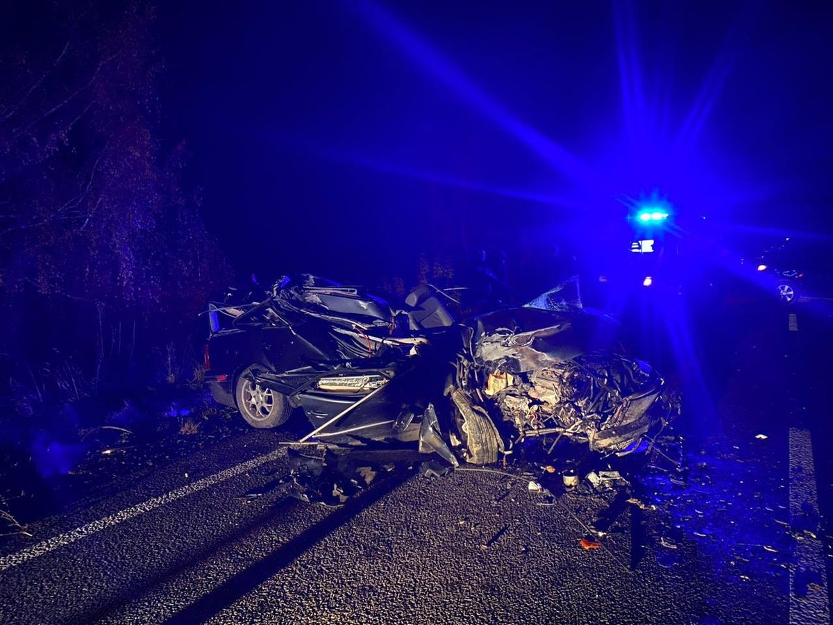 23-річна водійка загинула внаслідок зіткнення з припаркованим лісовозом на Волині