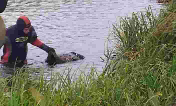 З озера на Львівщині водолази дістали тіло 64-річної жінки