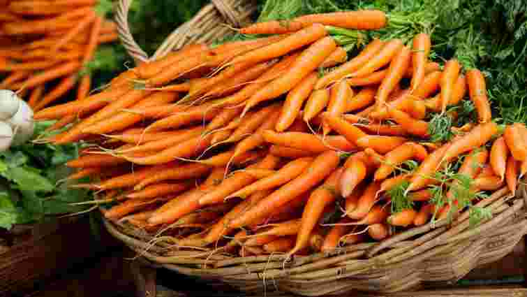 Коли та як садити моркву під зиму у 2022 році: терміни та поради