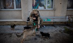 Підсумки 257 дня війни