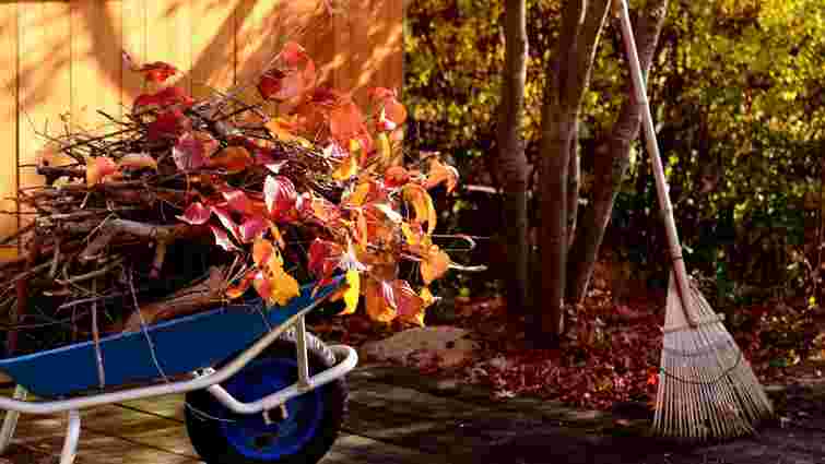 Як підготувати сад і город до зими: перелік робіт на кінець осені