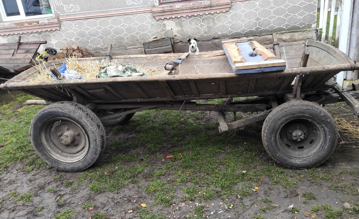 29-річна мешканка Рівненщини загинула внаслідок падіння з воза