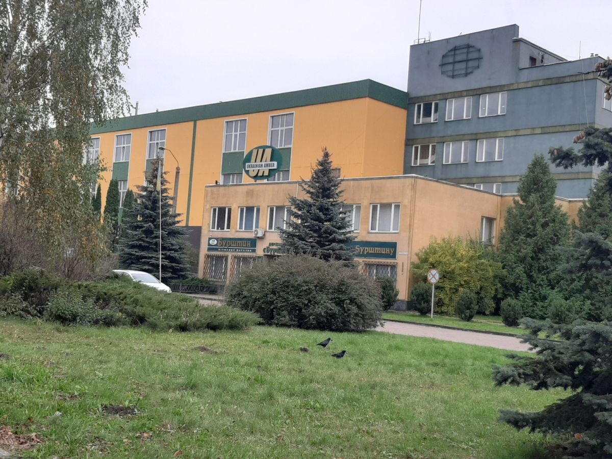Держпідприємство  з видобутку бурштину у Рівному продали за 6,7 млн грн