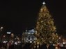 Чи потрібна Львову новорічна ялинка