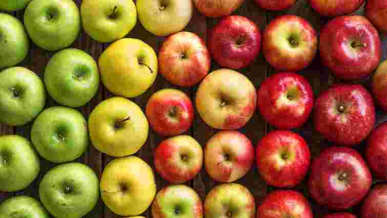 Як правильно зберігати яблука вдома: 8 основних правил

