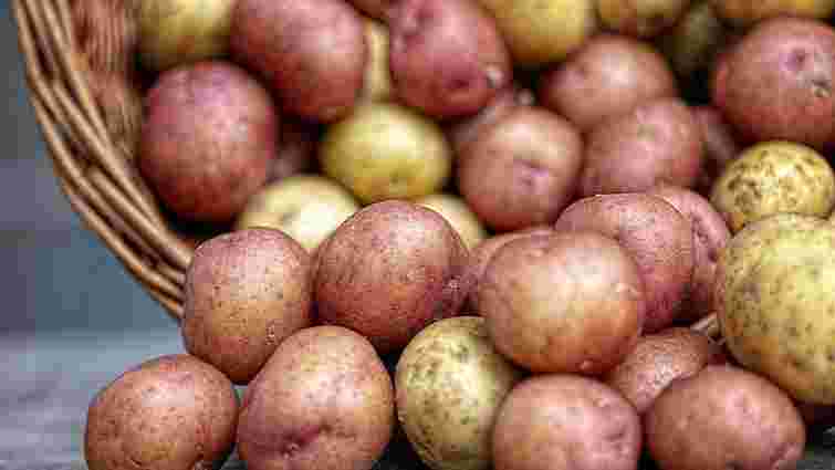Як правильно зберігати картоплю взимку, щоб вона не стала солодкою
