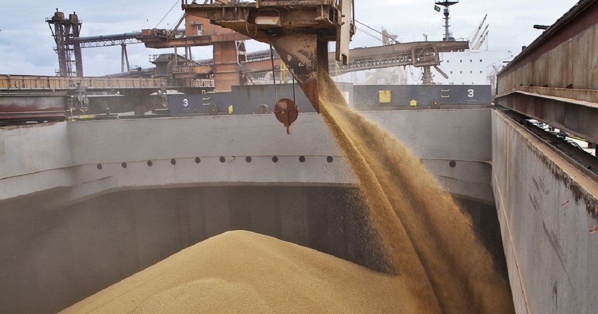 Росія викрала з України пшениці щонайменше на мільярд доларів