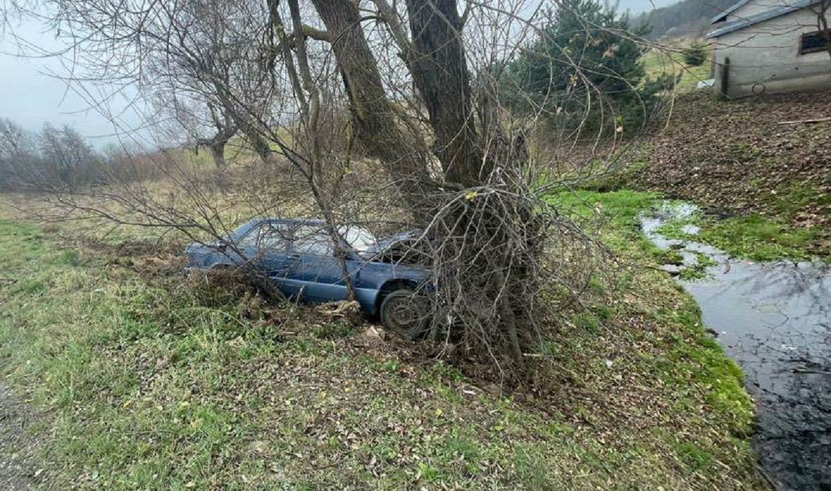 57-річний водій Mercedes злетів з траси біля Львова і загинув