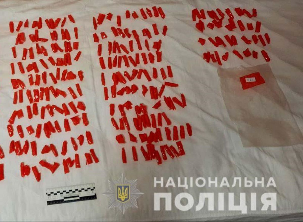 Виявленого у готелі закладчика з Вараша засудили до 9 років тюрми