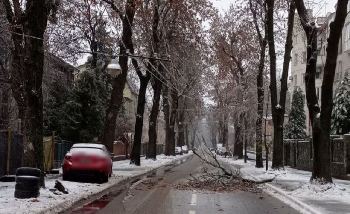 Понад 180 населених пунктів Львівщини залишаються знеструмлені через негоду