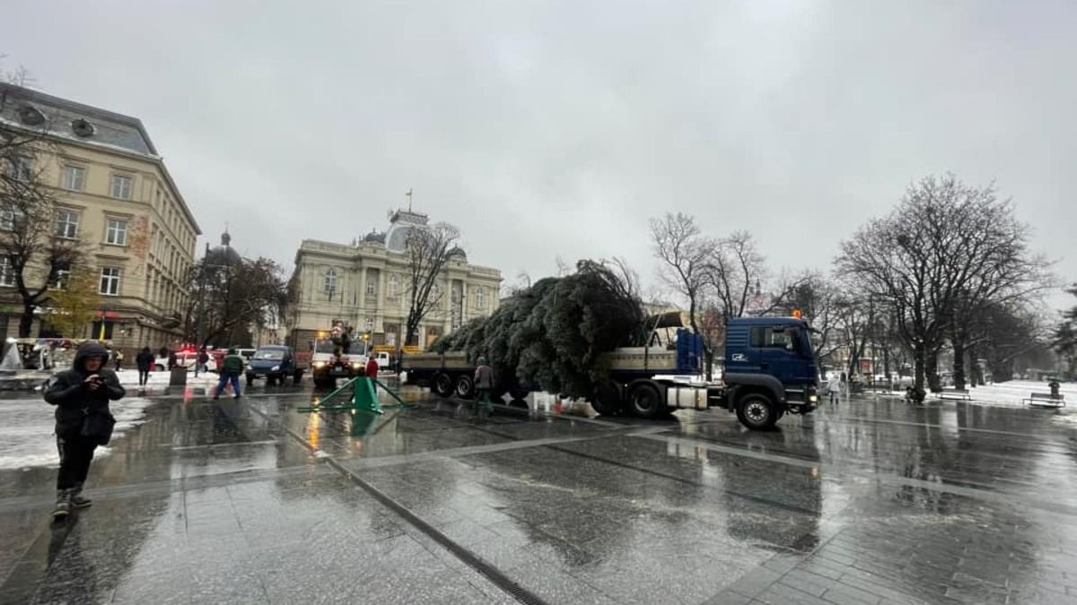 У Львові встановлюють міську новорічну ялинку