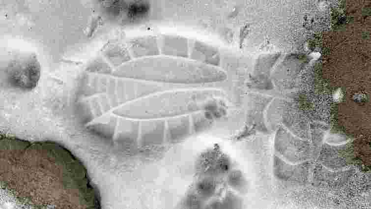 Рівненська поліція викрила злодія за відбитком взуття на снігу