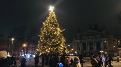 Різдвяна ялинка як дзеркало реальності