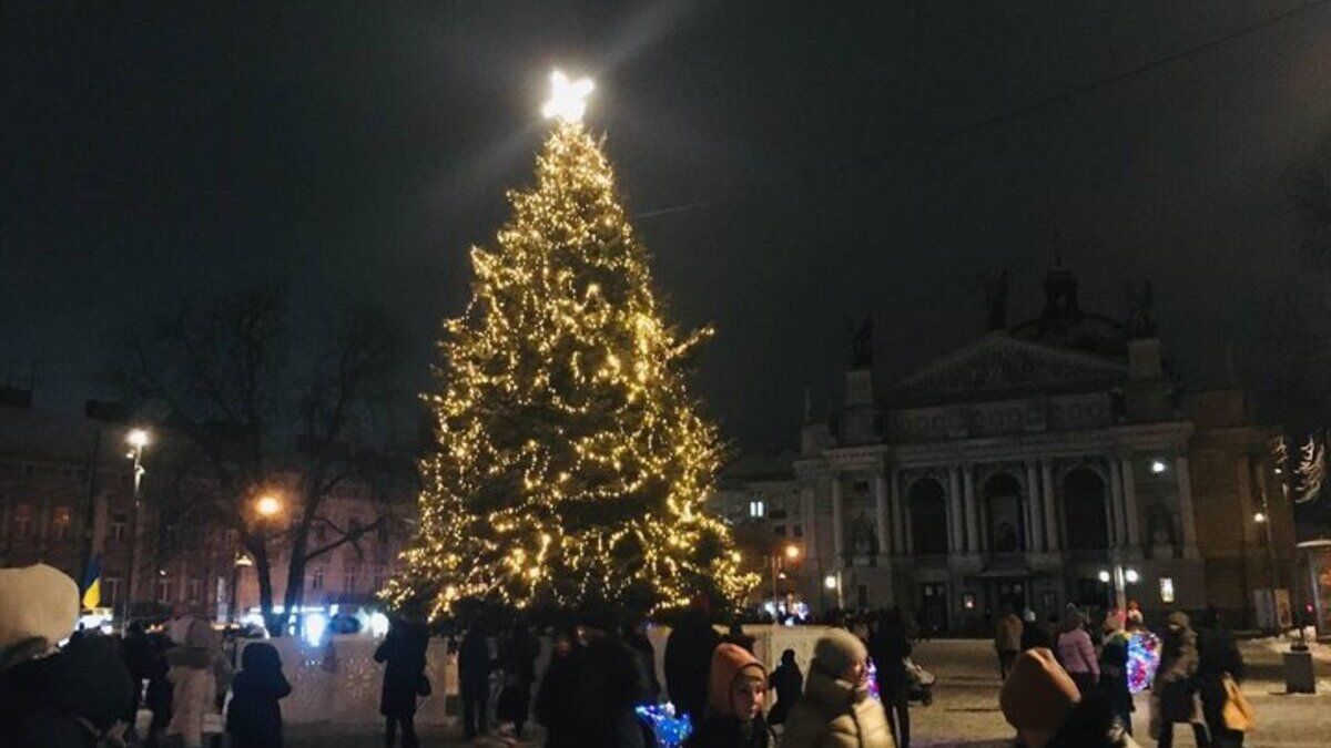 Різдвяна ялинка як дзеркало реальності