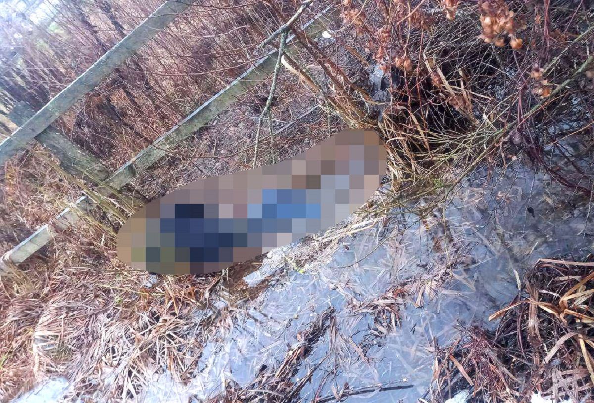 Зниклого два тижні тому мешканця Рівненщини знайшли мертвим біля болота