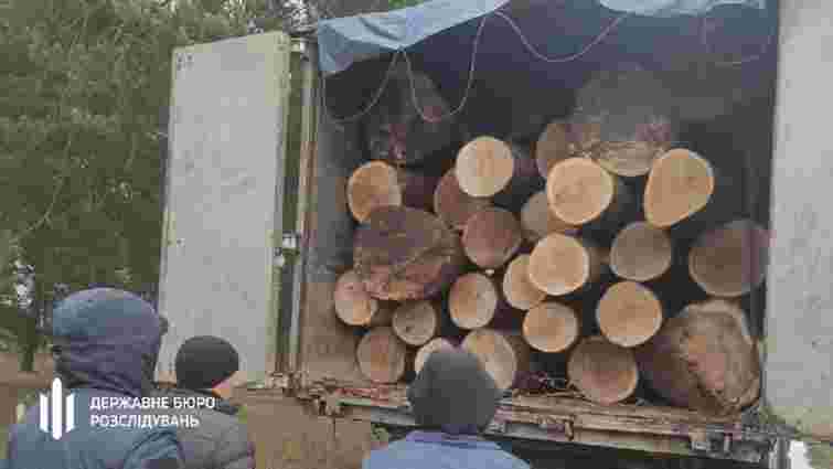Львівських лісівників викрили на незаконній рубці дубів