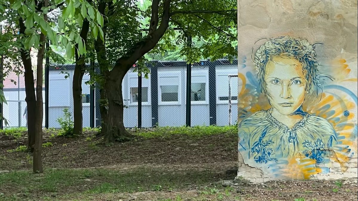 Французький художник C215 показав свої графіті в Україні - ZAXID.NET