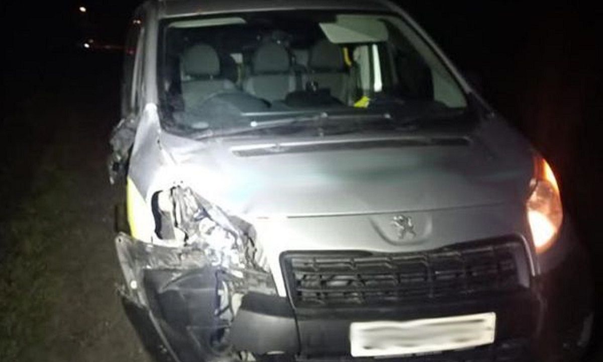 На трасі Львів-Тернопіль водій Peugeot на смерть збив 31-річного пішохода
