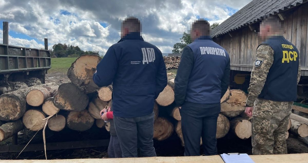 Посадовців Славського лісгоспу зловили на масштабному розкраданні лісу