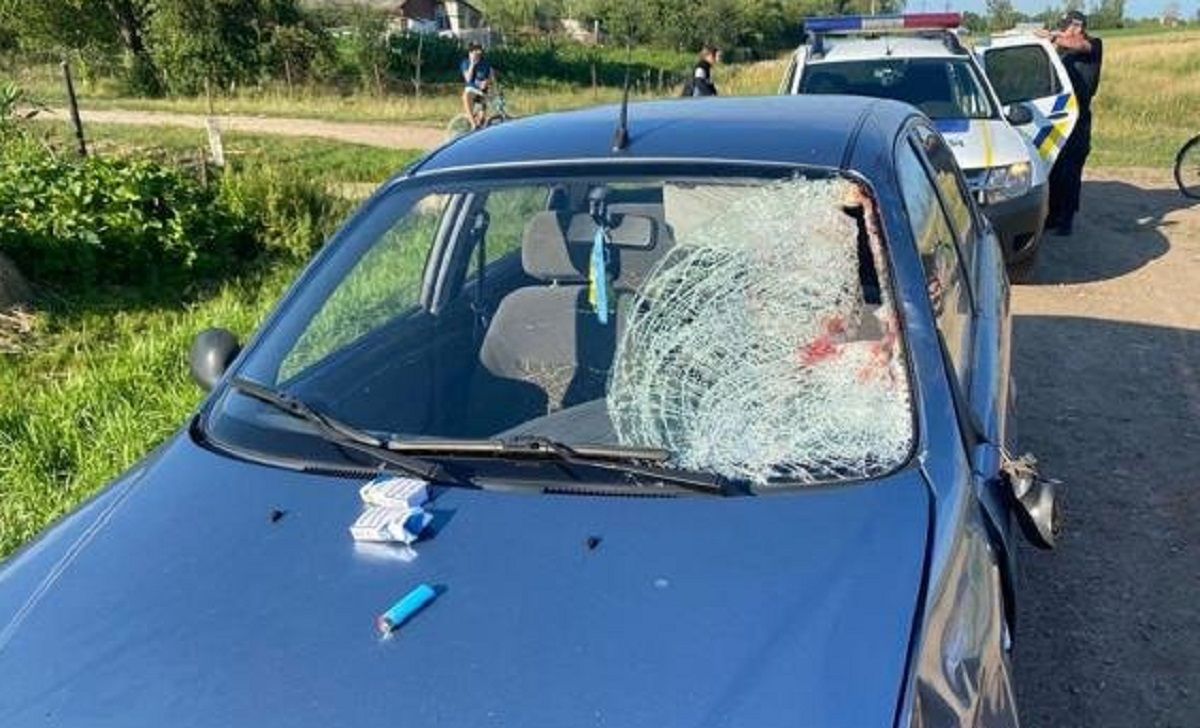 Родичі збитого біля Дрогобича пішохода відсудили 550 тис. грн у п’яного водія