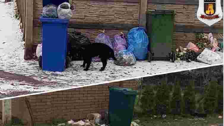 Мешканців мікрорайону Луцька штрафуватимуть за відсутність сміттєвих контейнерів