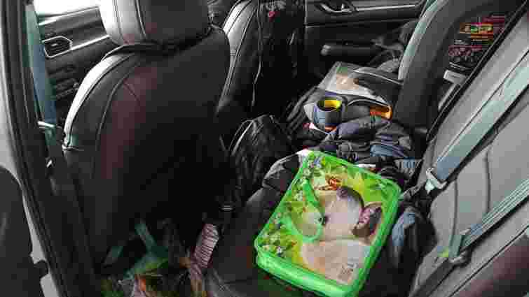 Закарпатські митники затримали водія, який віз $20 тис. у дитячій сумці