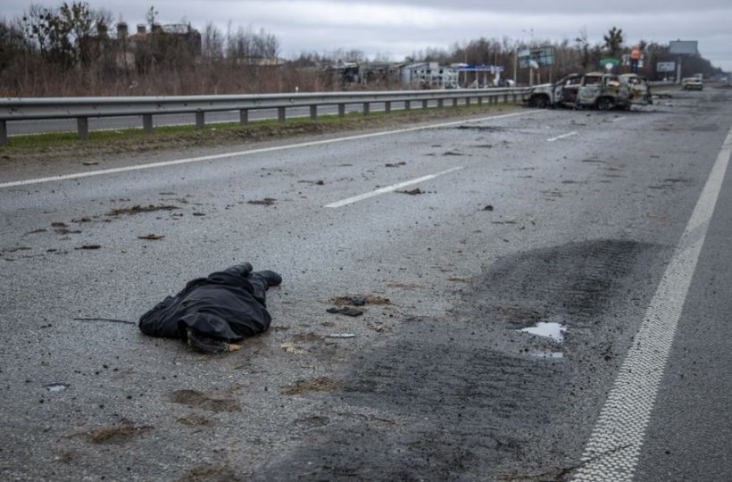 Траса біля села Дмитрівка (фото «Бабеля»)
