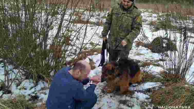 Викинута під час втечі куртка привела поліцейського собаку до грабіжника