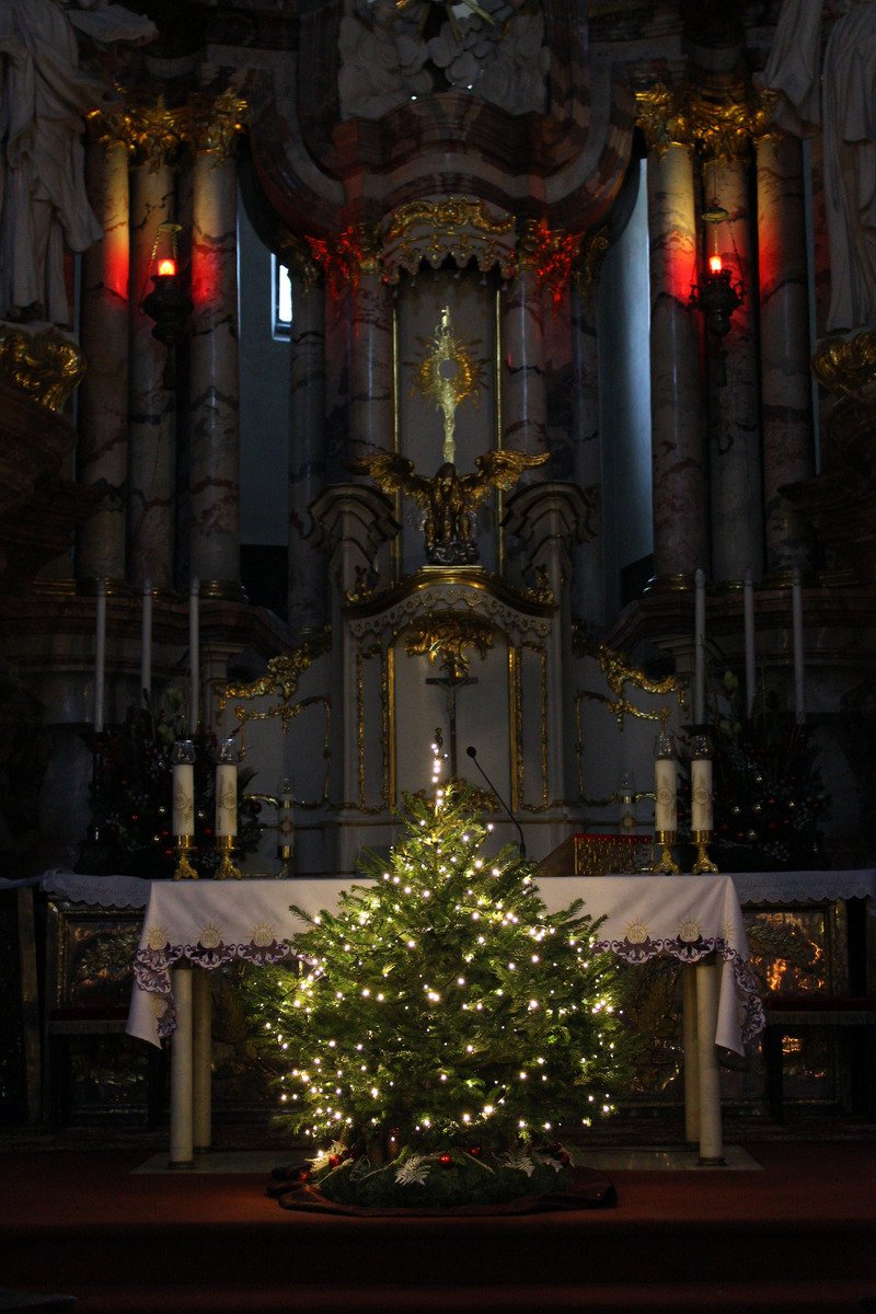 Домініканський костел Святого Духа