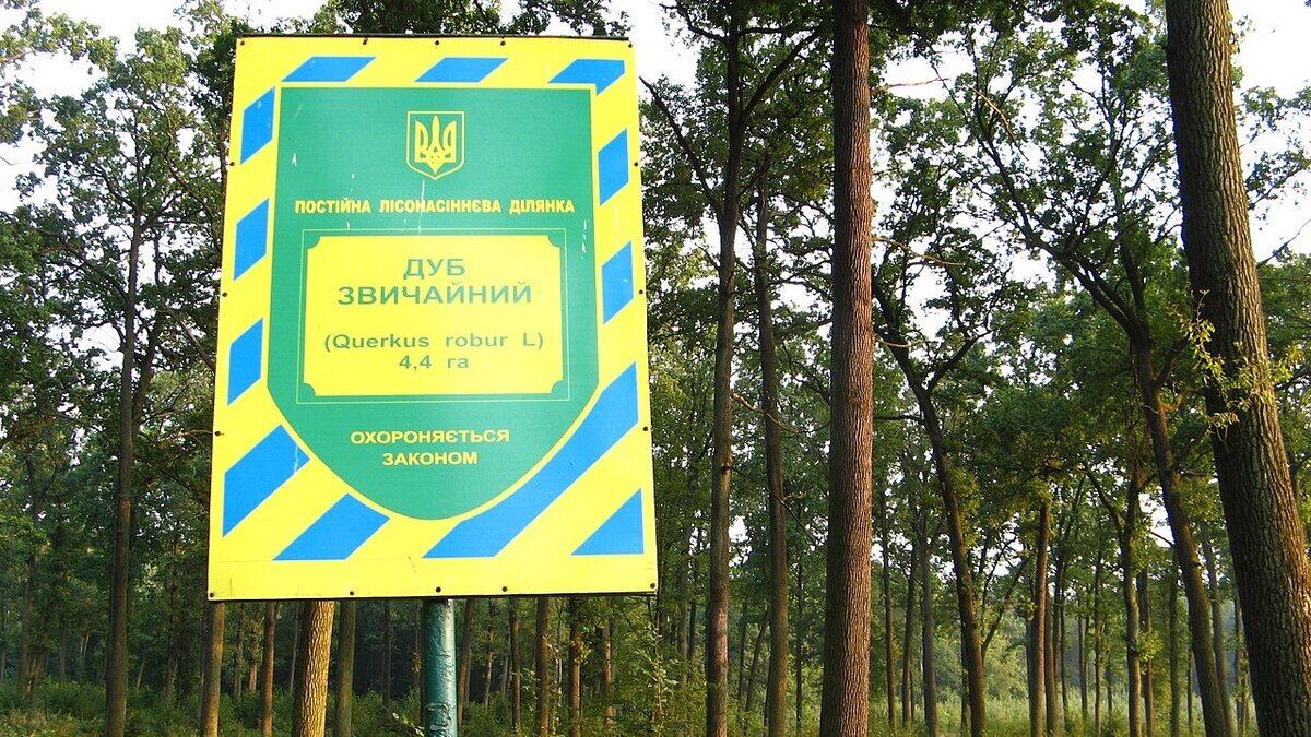 Прокуратура судиться із компанією Димінського за 4 гектари заповідника у Брюховичах