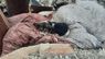 Собака Ельза спить на руїнах знищеного російською ракетою будинку. Фото дня