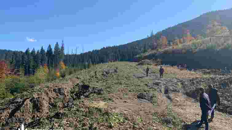 П'ятьох лісників із Прикарпаття звинуватили у незаконних рубках на території нацпарку