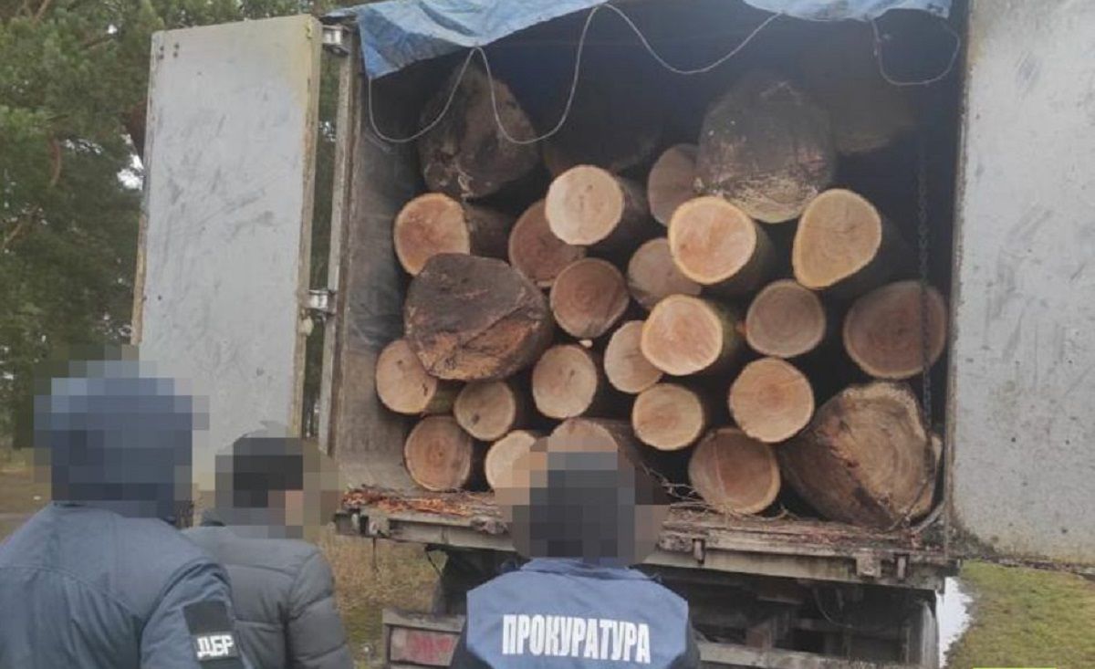 Посадовців лісництва на Львівщині викрили на масштабних рубках на 4 млн грн