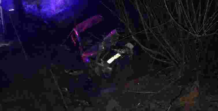 Під Львовом 58-річний водій Toyota Avensis злетів у кювет і загинув
