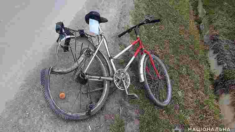 П'яний водій збив велосипедиста неподалік Кам'янця-Подільського і втік